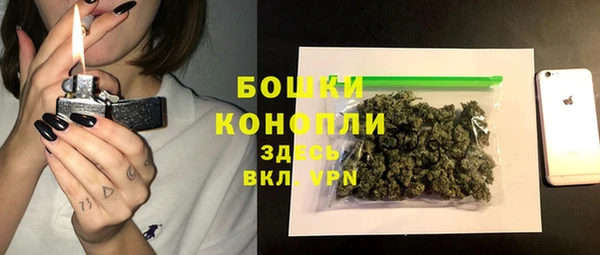 ГАЛЛЮЦИНОГЕННЫЕ ГРИБЫ Балахна